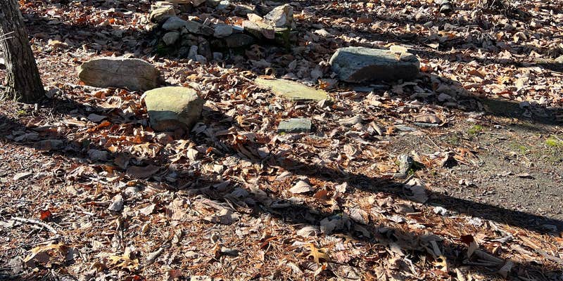 Camper submitted image from Pinhoti Campground North of Talladega Scenic Drive 1 — Cheaha State Park