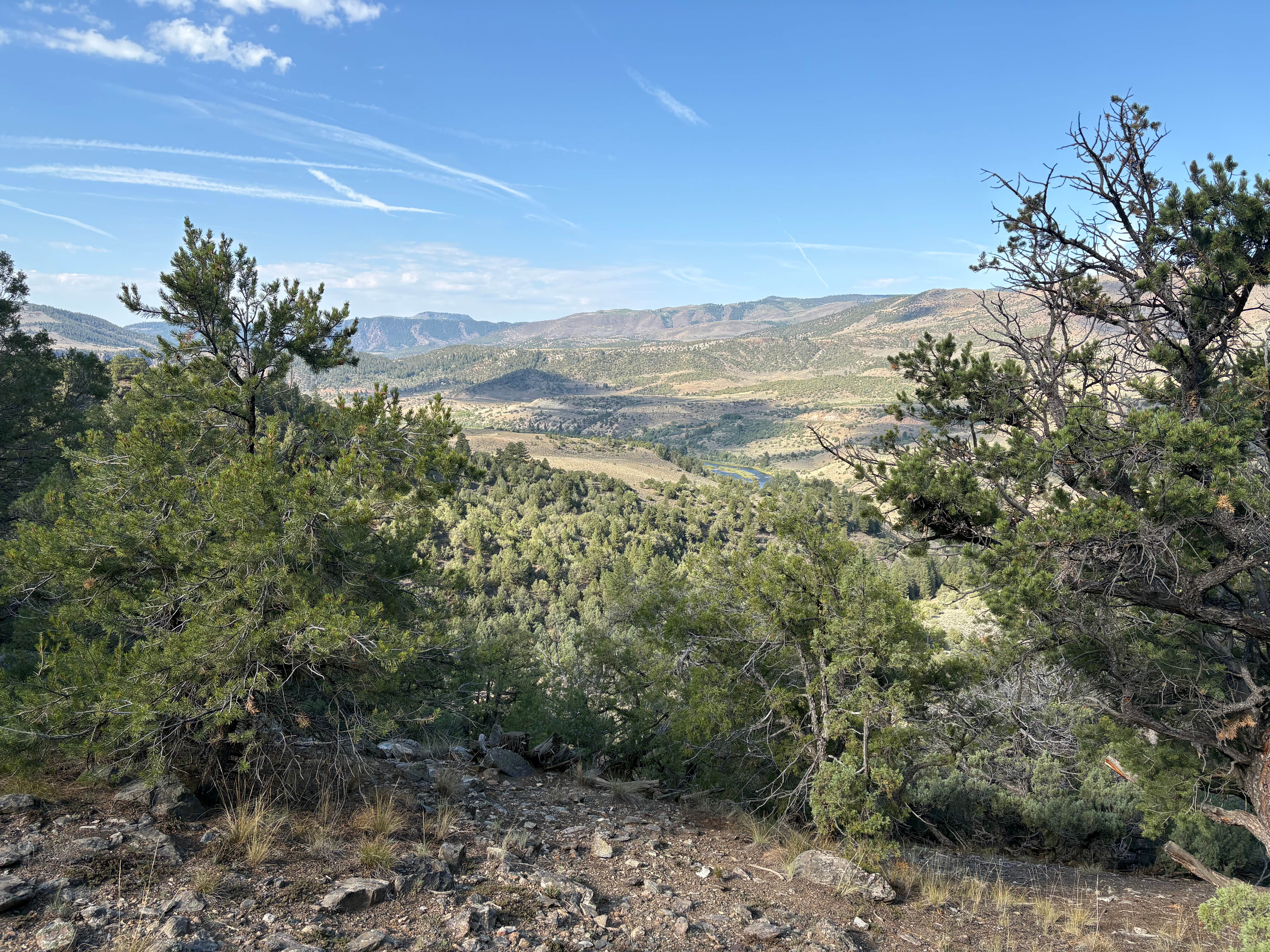 Camper submitted image from Pinion Pine Dispersed Campground - 1