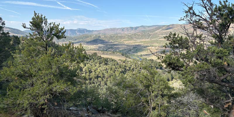 Camper submitted image from Pinion Pine Dispersed Campground