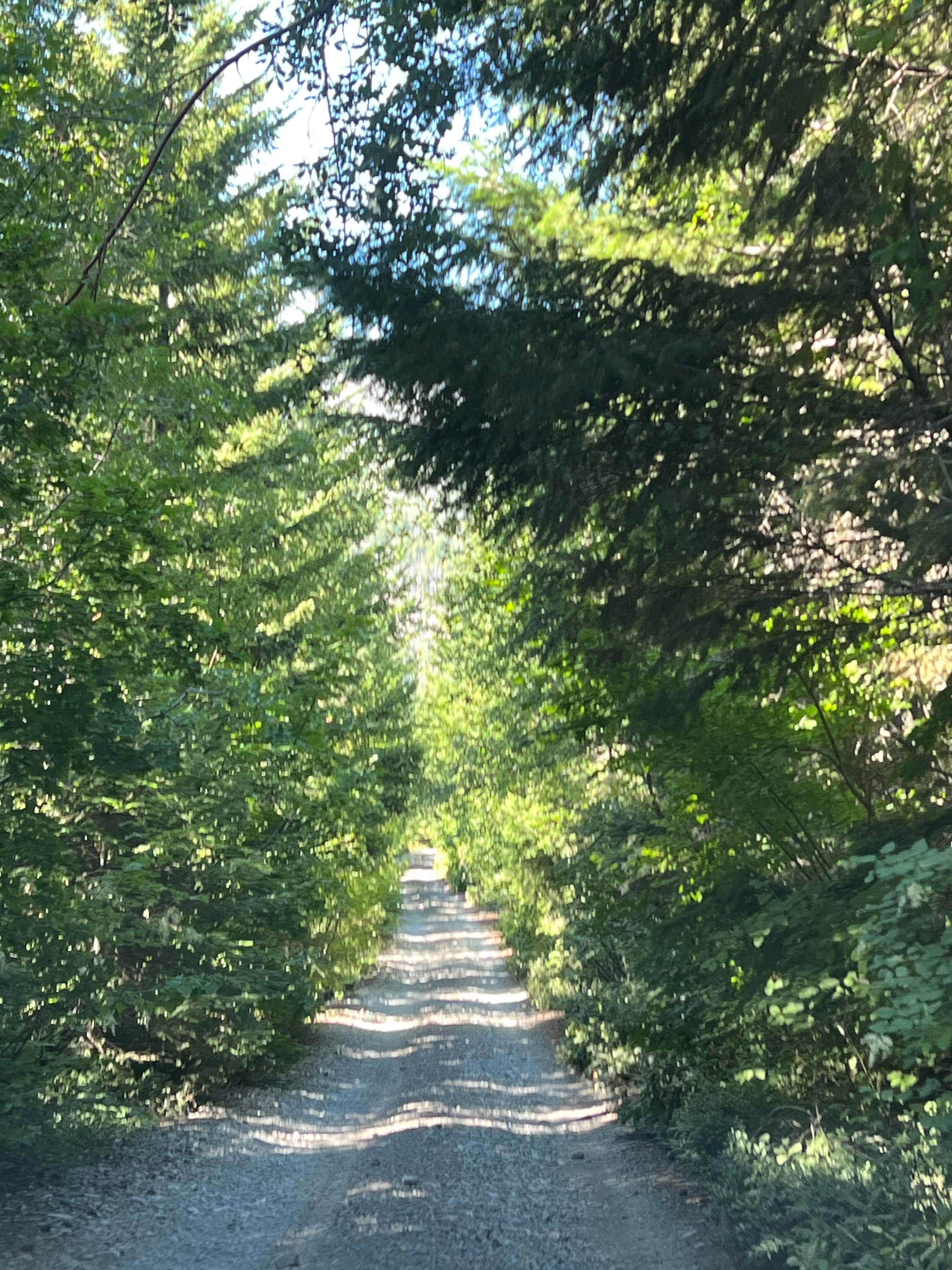 Camper-submitted photo at pinnacle Ridge dispersed camping near Wasco, OR