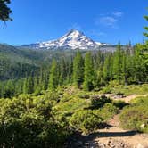 Review photo of pinnacle Ridge dispersed camping by Alicia W., July 17, 2025