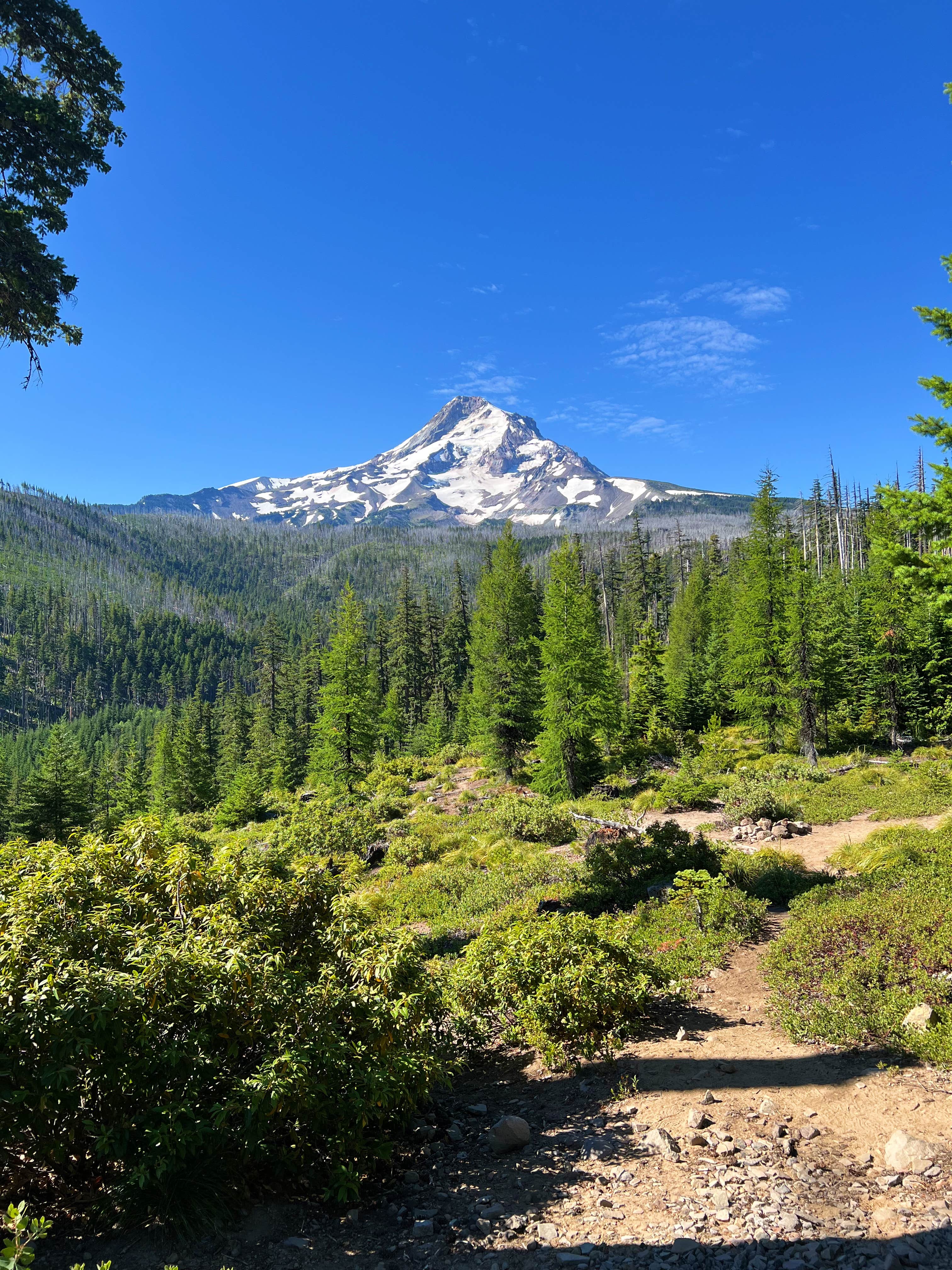 Camper submitted image from pinnacle Ridge dispersed camping - 2