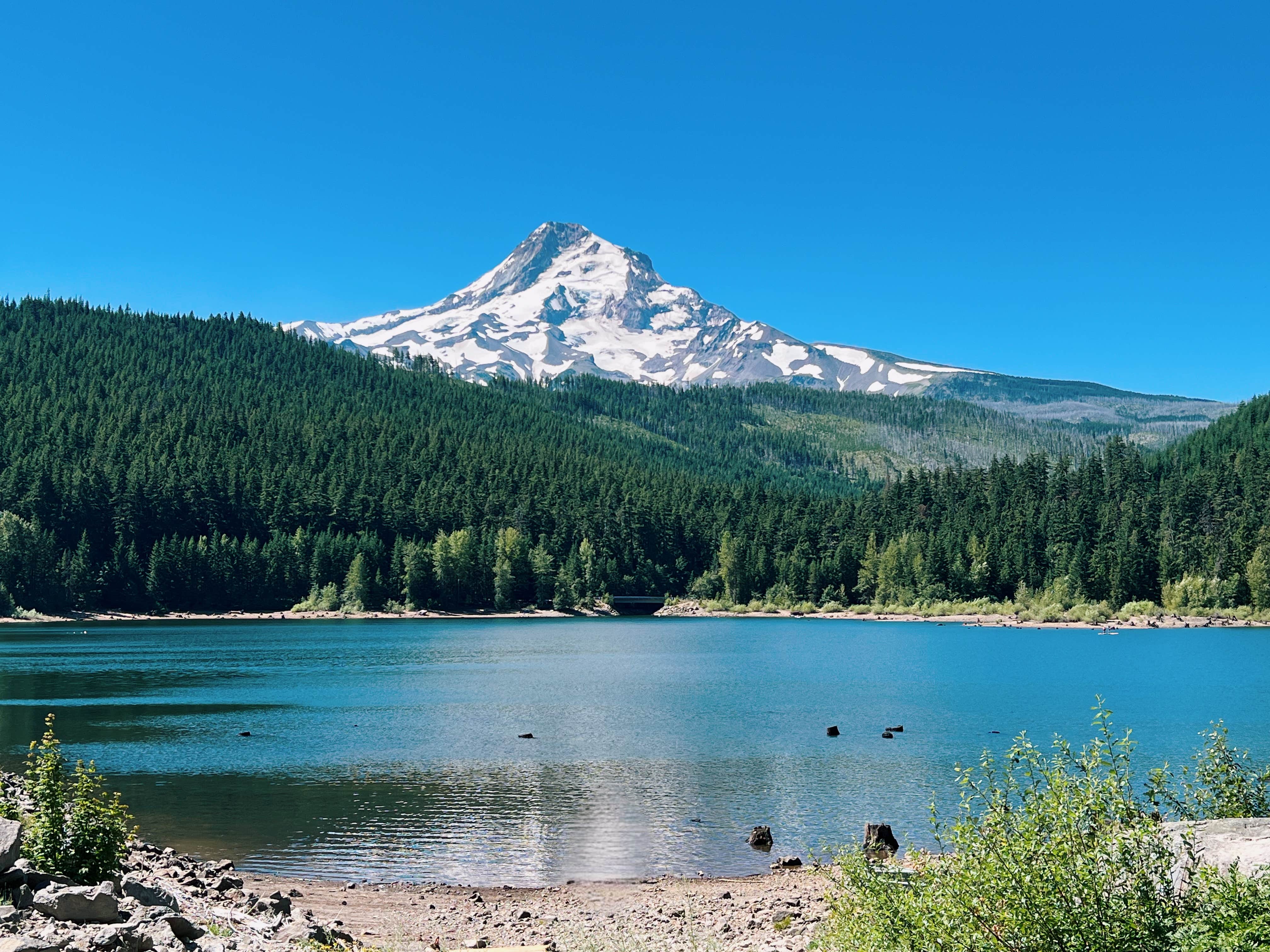 Alicia W.'s photo of a dispersed camping area at pinnacle Ridge dispersed camping near Mt. Hood National Forest