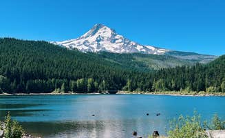 Alicia W.'s photo of a dispersed camping area at pinnacle Ridge dispersed camping near Tygh Valley, OR