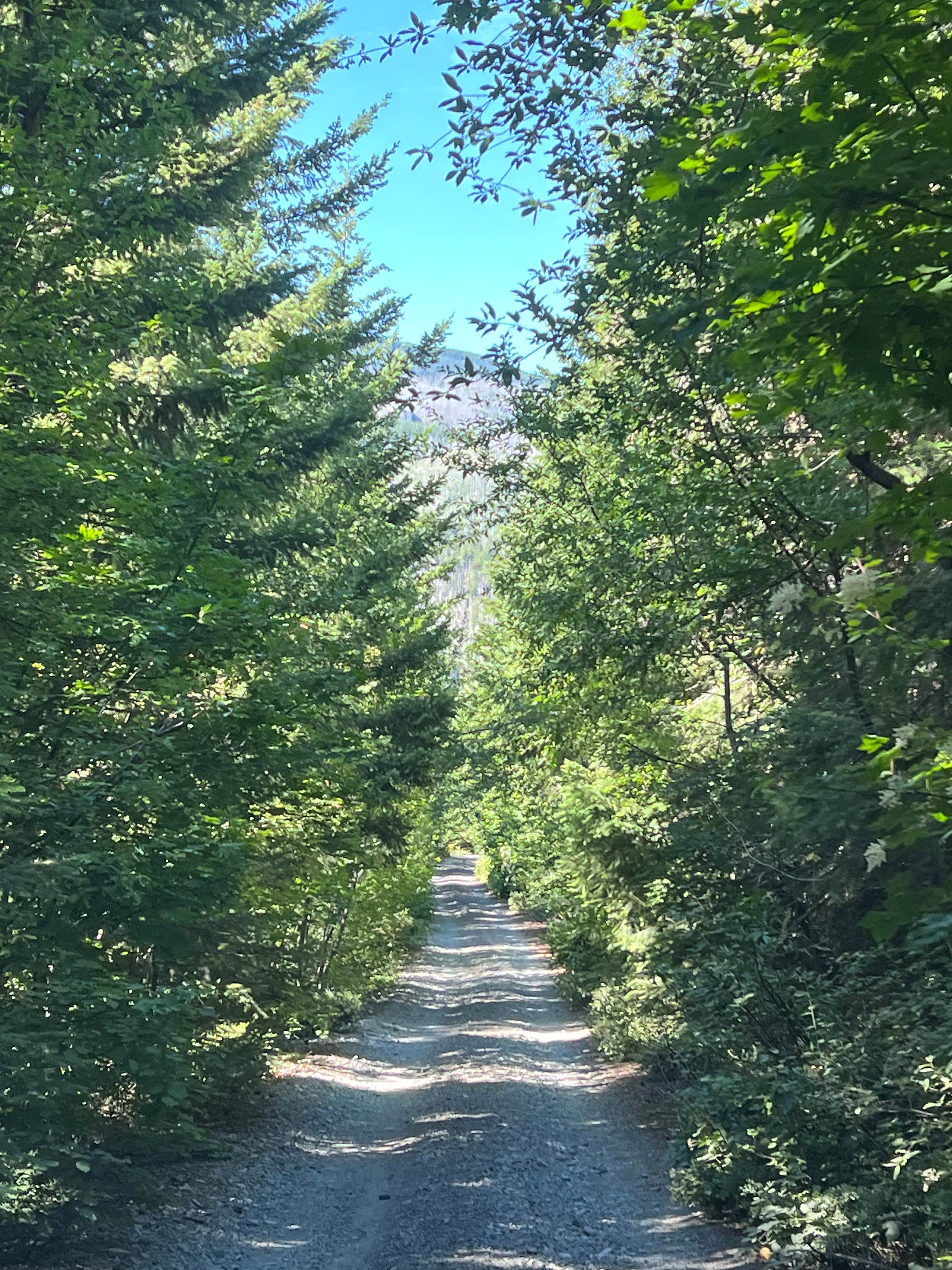 Camper submitted image from pinnacle Ridge dispersed camping - 5