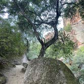 Review photo of Pinnacles Campground — Pinnacles National Park by Crystal B., November 9, 2025