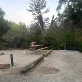 Review photo of Pinnacles Campground — Pinnacles National Park by Crystal B., November 9, 2025