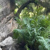 Review photo of Pinnacles Campground — Pinnacles National Park by Rick L., May 5, 2025