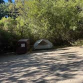 Review photo of Pinnacles Campground — Pinnacles National Park by Emily H., July 24, 2025