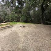 Review photo of Pinnacles Campground — Pinnacles National Park by Teresa A., January 29, 2026