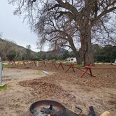 Review photo of Pinnacles Campground — Pinnacles National Park by dakota B., February 8, 2024