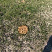 Review photo of Pinnacles Camping Area by mona M., August 25, 2026