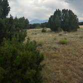 Review photo of Piñon Campground — Lathrop State Park by erin D., August 20, 2025