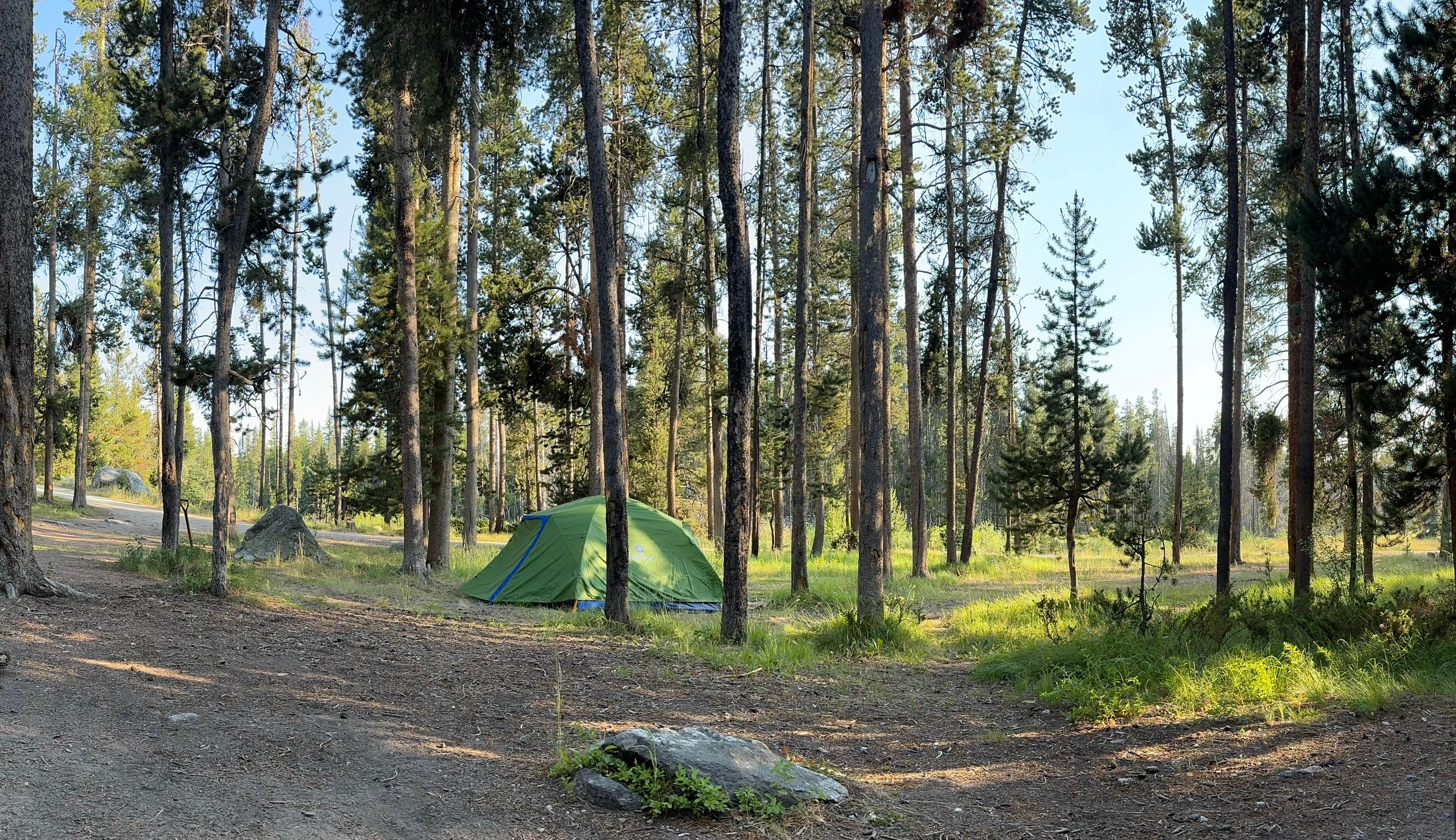 Lisa K.'s photo of tent camping at Pintler Campground near Beaverhead-Deerlodge National Forest