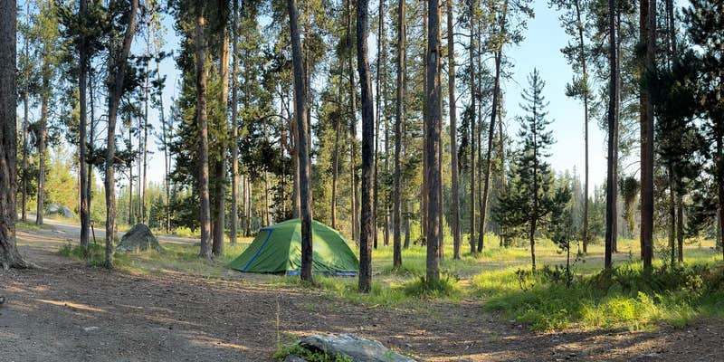 Camper submitted image from Pintler Campground