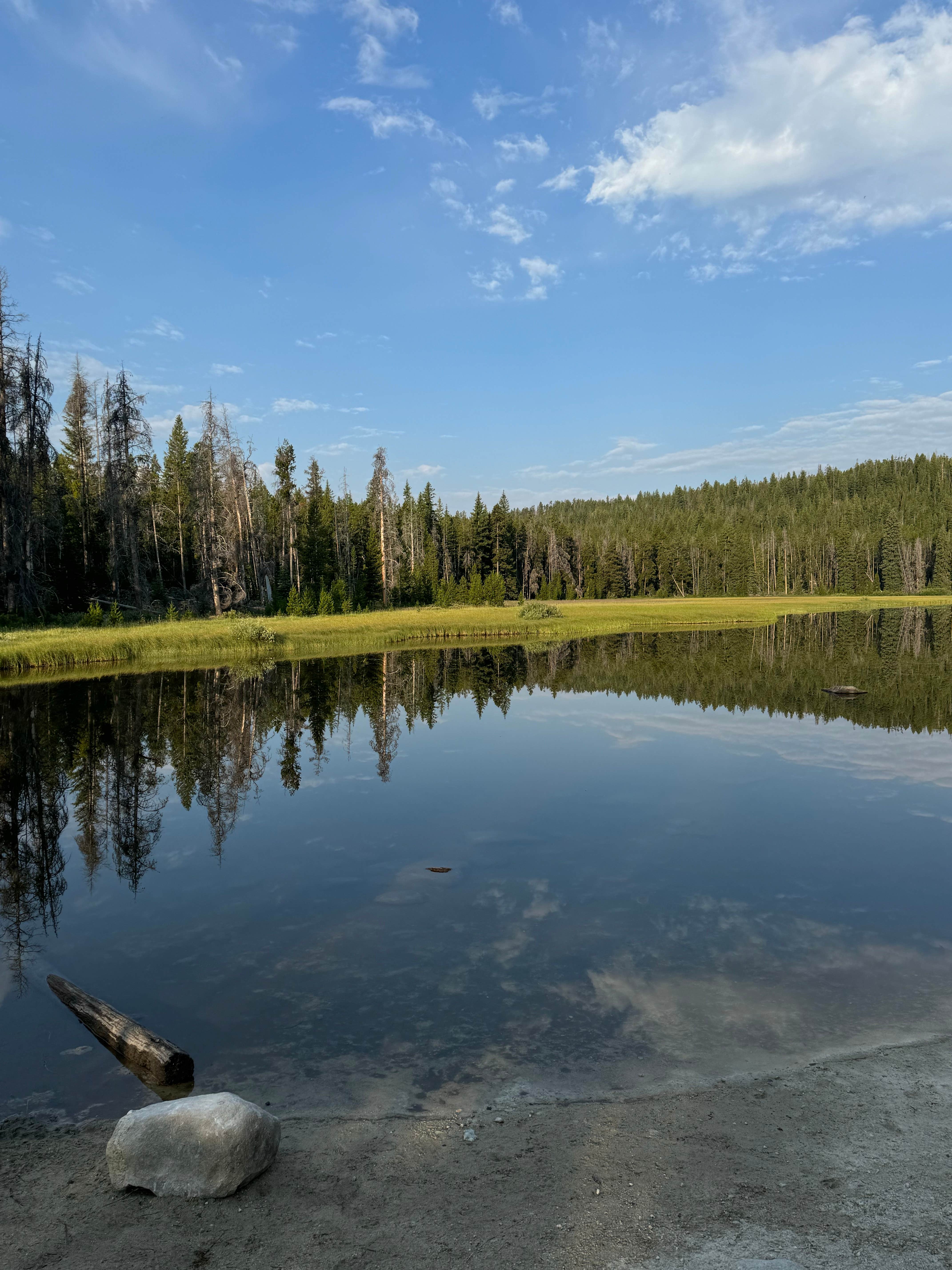 Camper-submitted photo at Pintler Campground near Anaconda-Deer Lodge County, MT