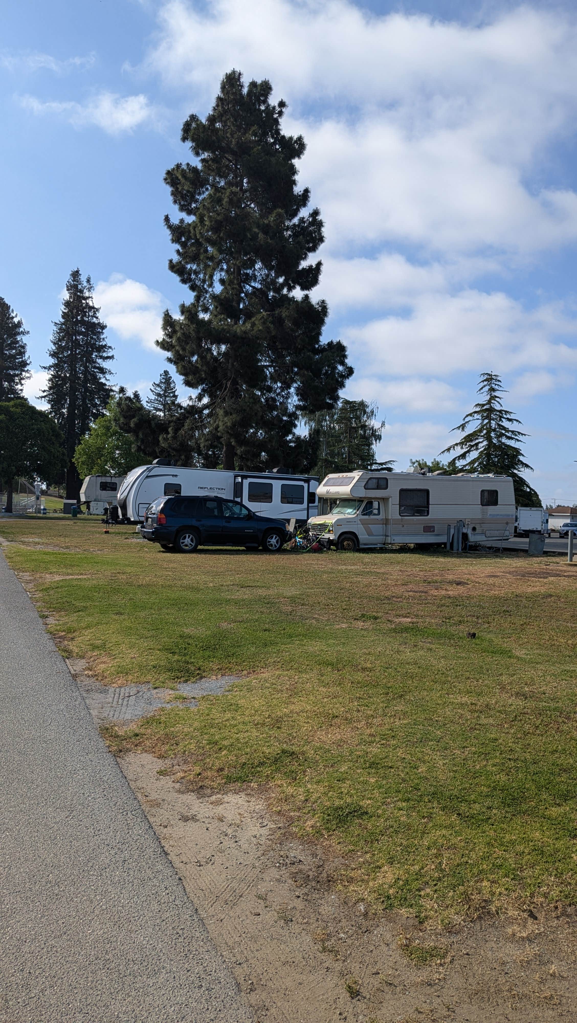 Camping near Sunset State Beach: Pinto Lake City Park, Freedom, California