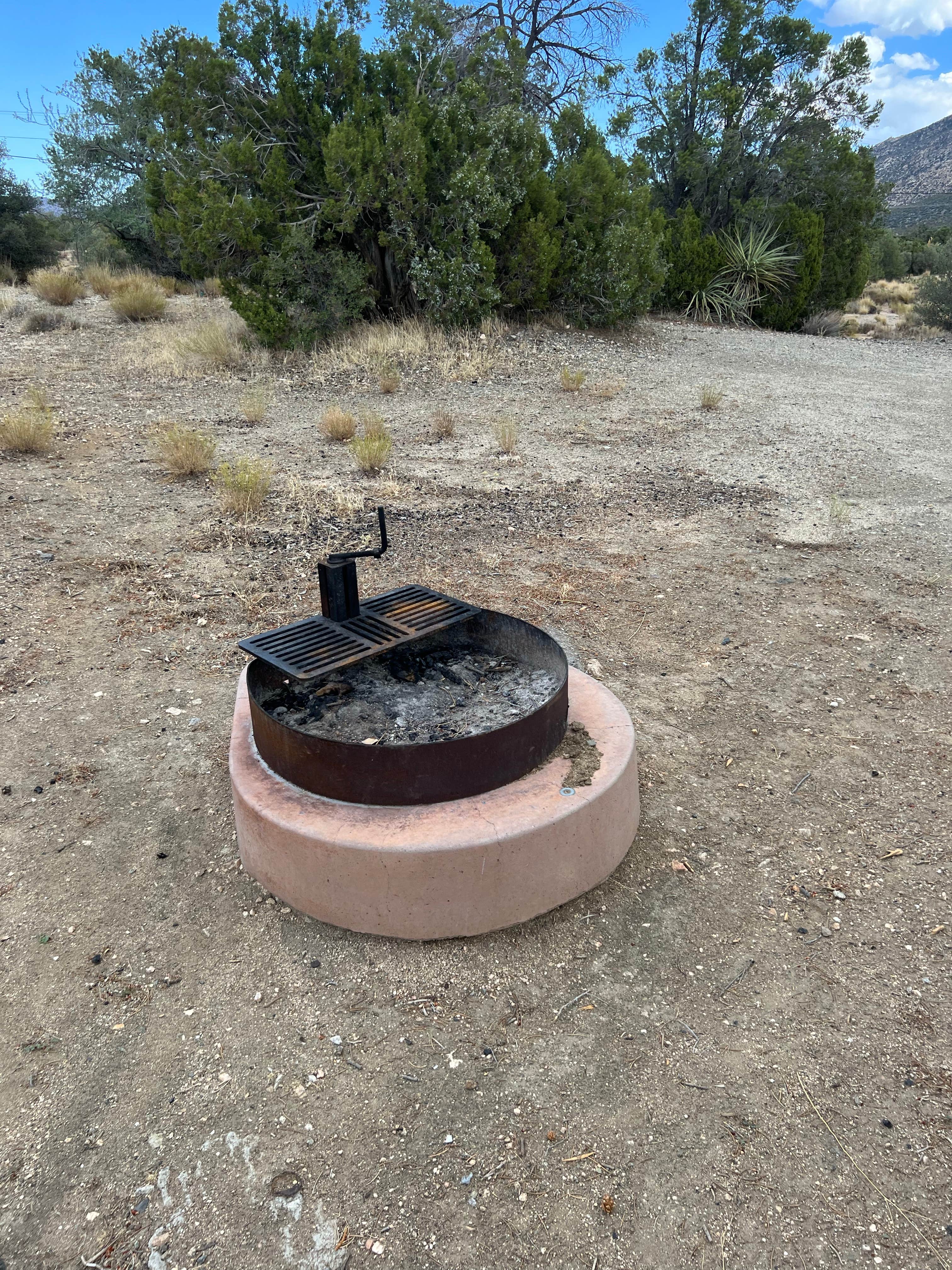 Camper submitted image from Pinyon Flat Campground (San Bernardino National Forest) — San Bernardino National Forest - 1