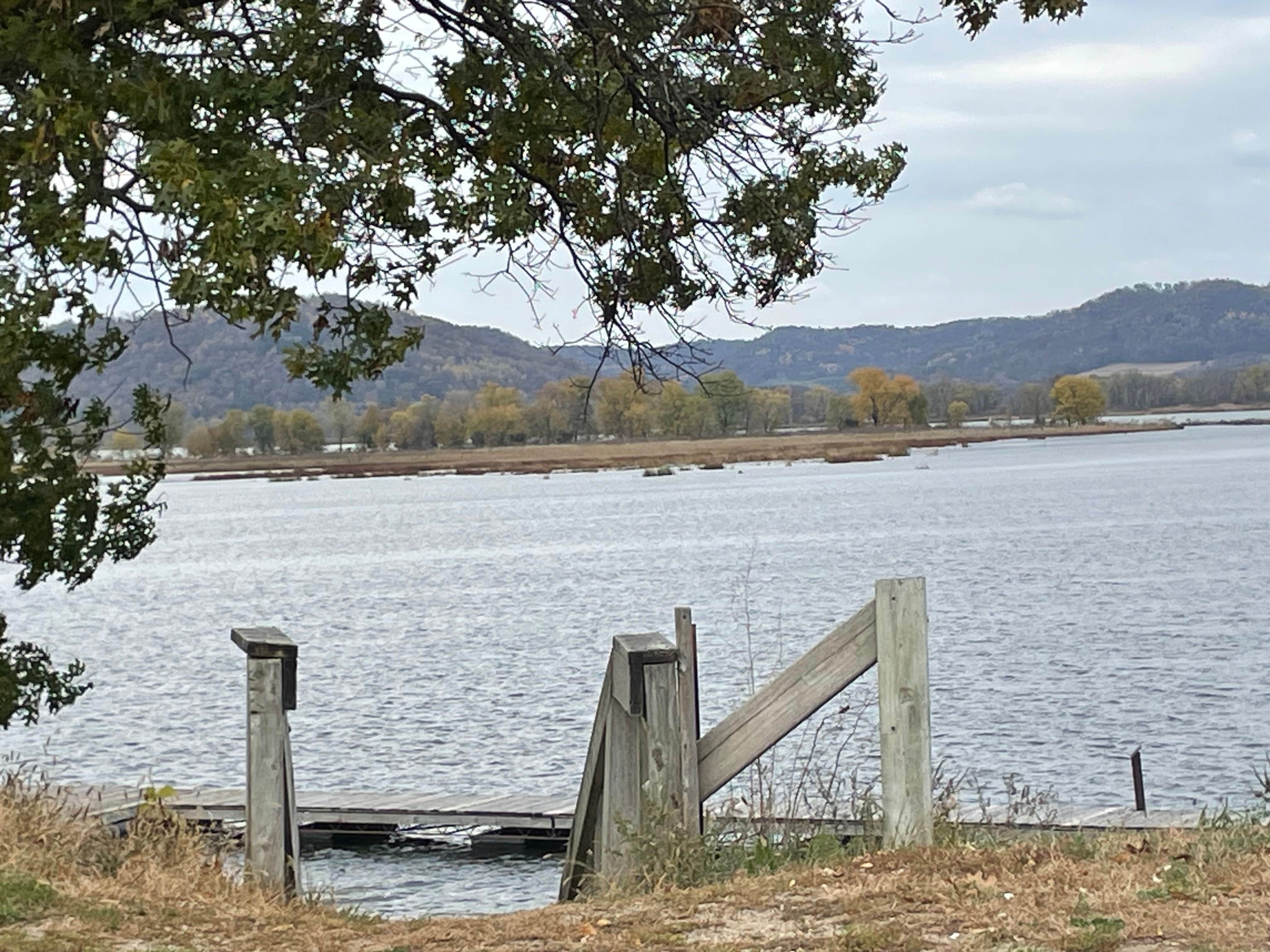 Camper submitted image from Pioneer Campsite Resort - 3