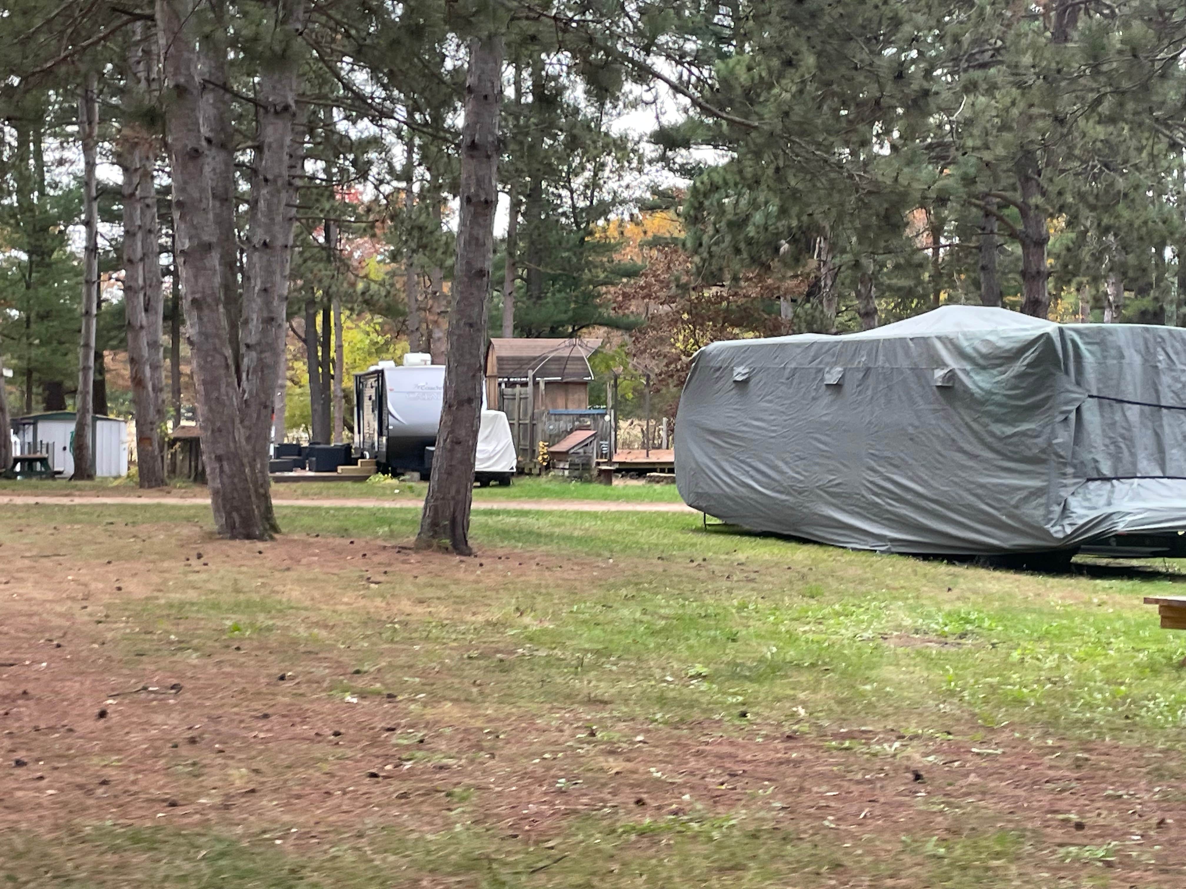 Camper submitted image from Pioneer Campsite Resort - 1