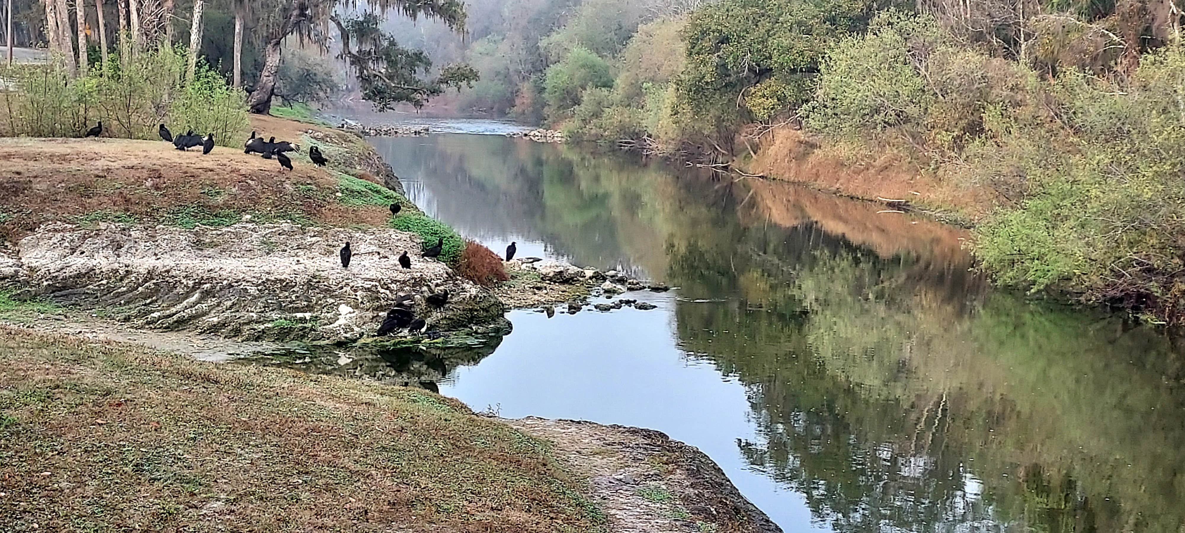 Camper-submitted photo at Pioneer Park near Sebring, FL