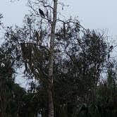 Review photo of Pioneer Park by Capt.Greg O., February 23, 2026