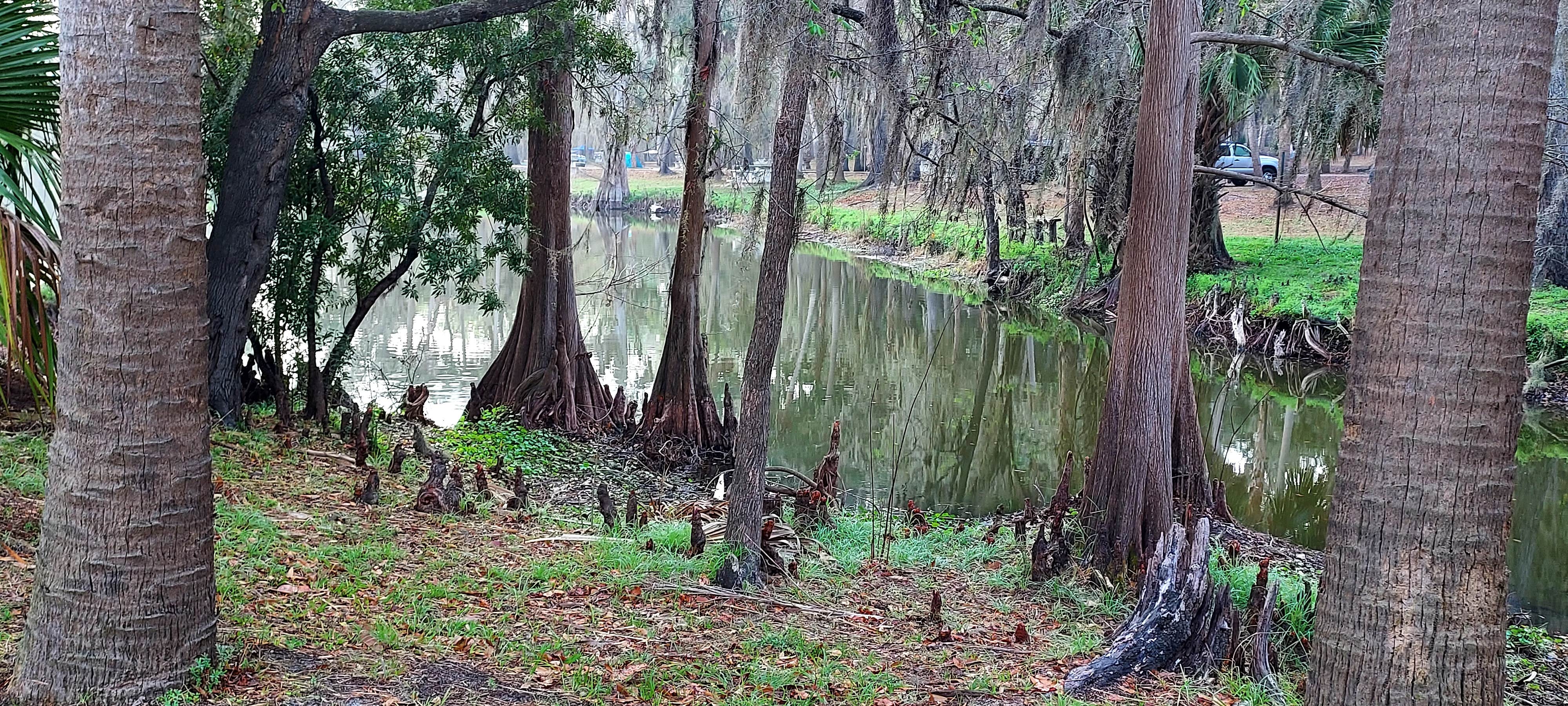 Camper-submitted photo at Pioneer Park near Sebring, FL