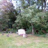 Review photo of Pioneer Trails Tree Farm Campground by Frederick B., September 8, 2024