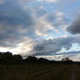 Review photo of Pioneer Trails Tree Farm Campground by Frederick B., September 8, 2024