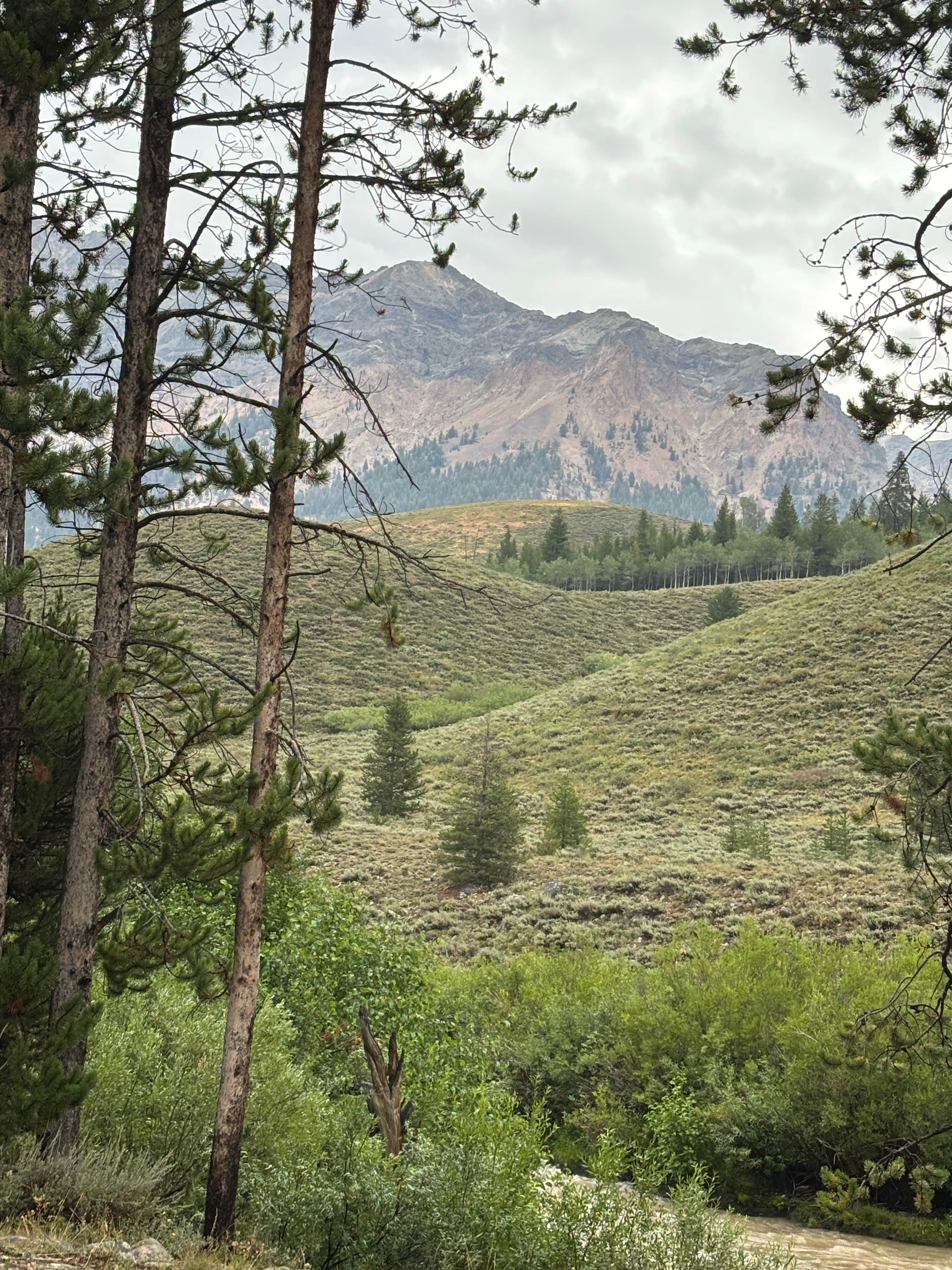 pioneer woman camp