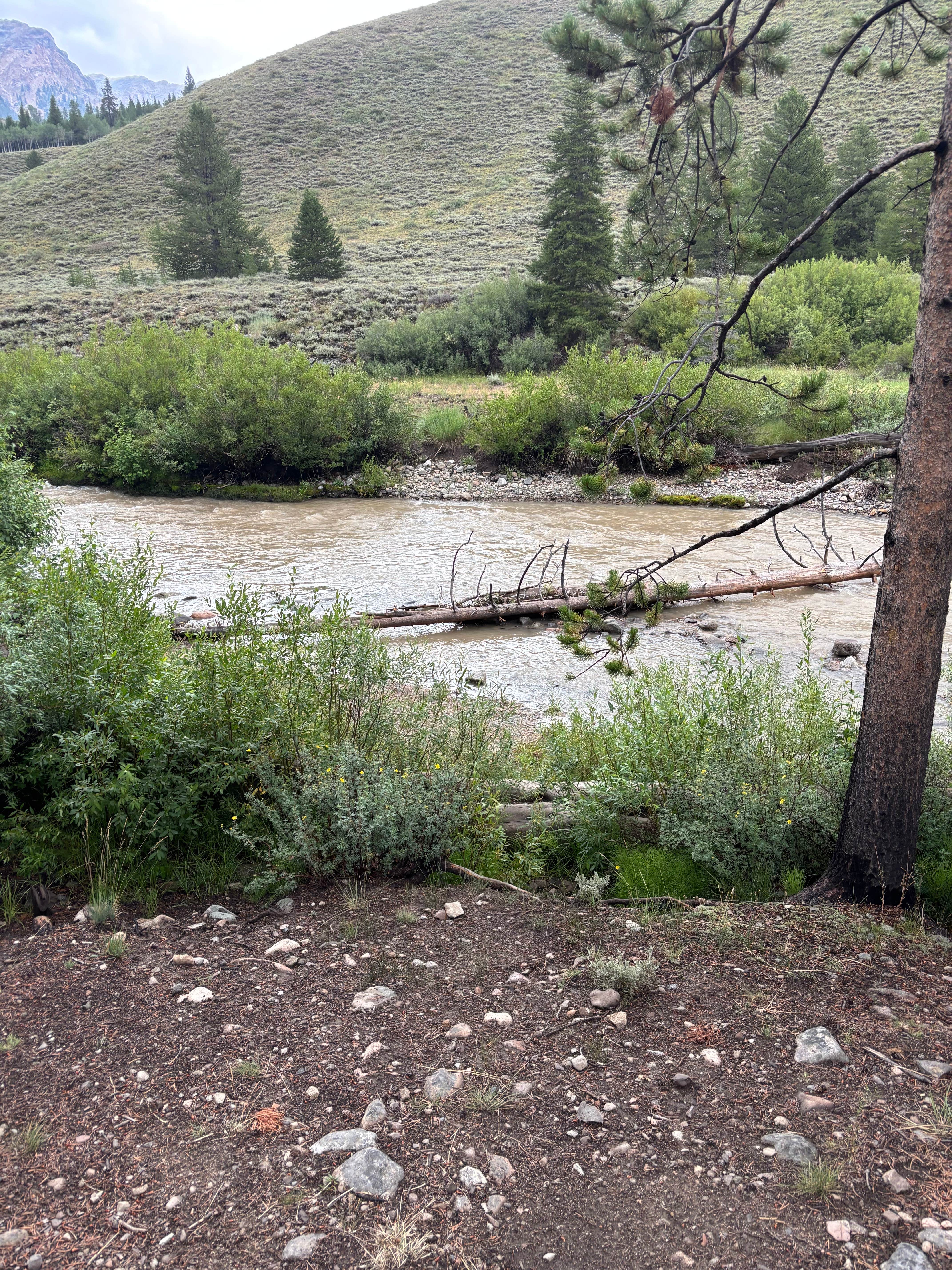 Camper-submitted photo at pioneer woman camp near Sun Valley, ID