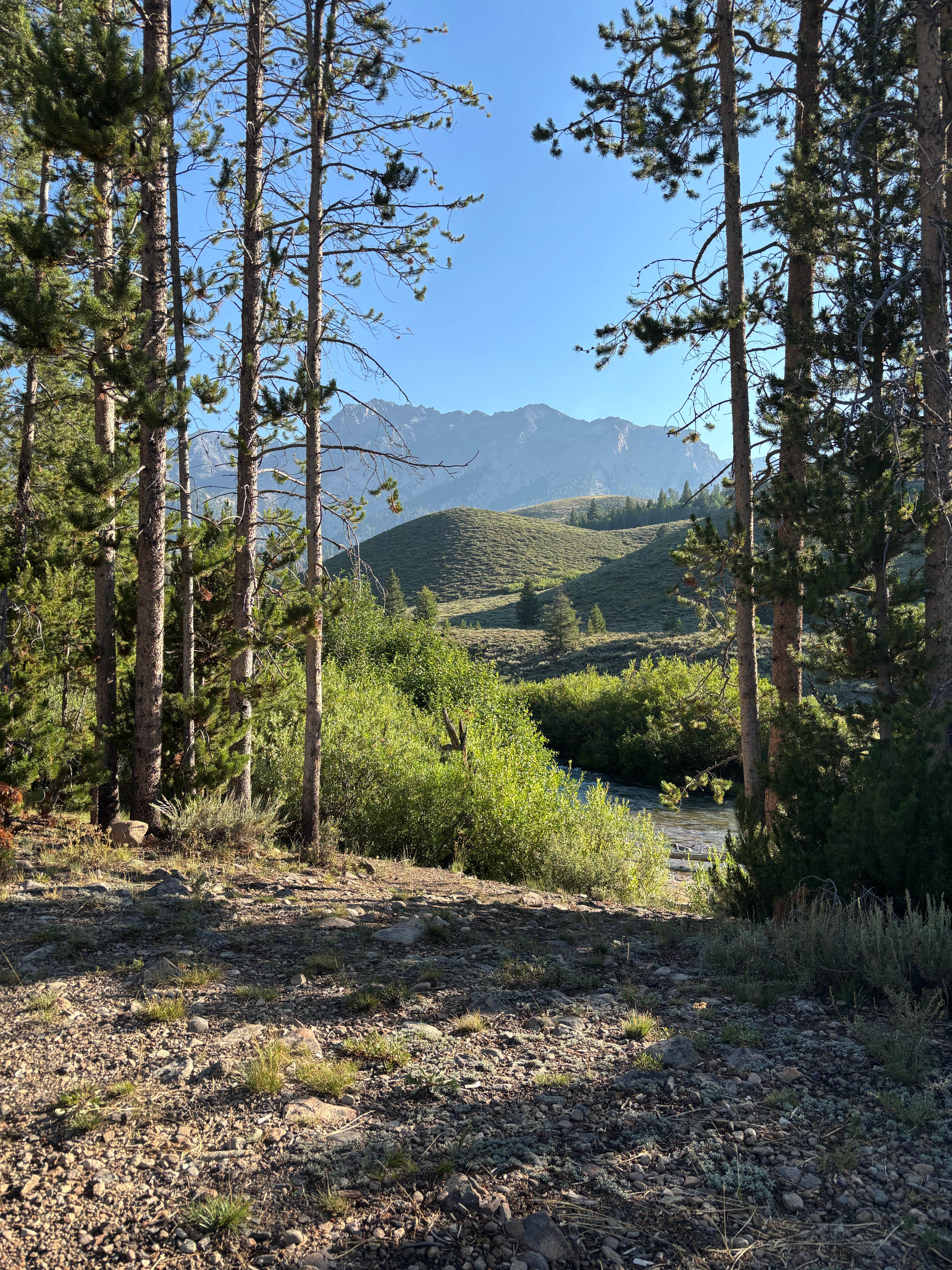 Camper-submitted photo at pioneer woman camp near Ketchum, ID