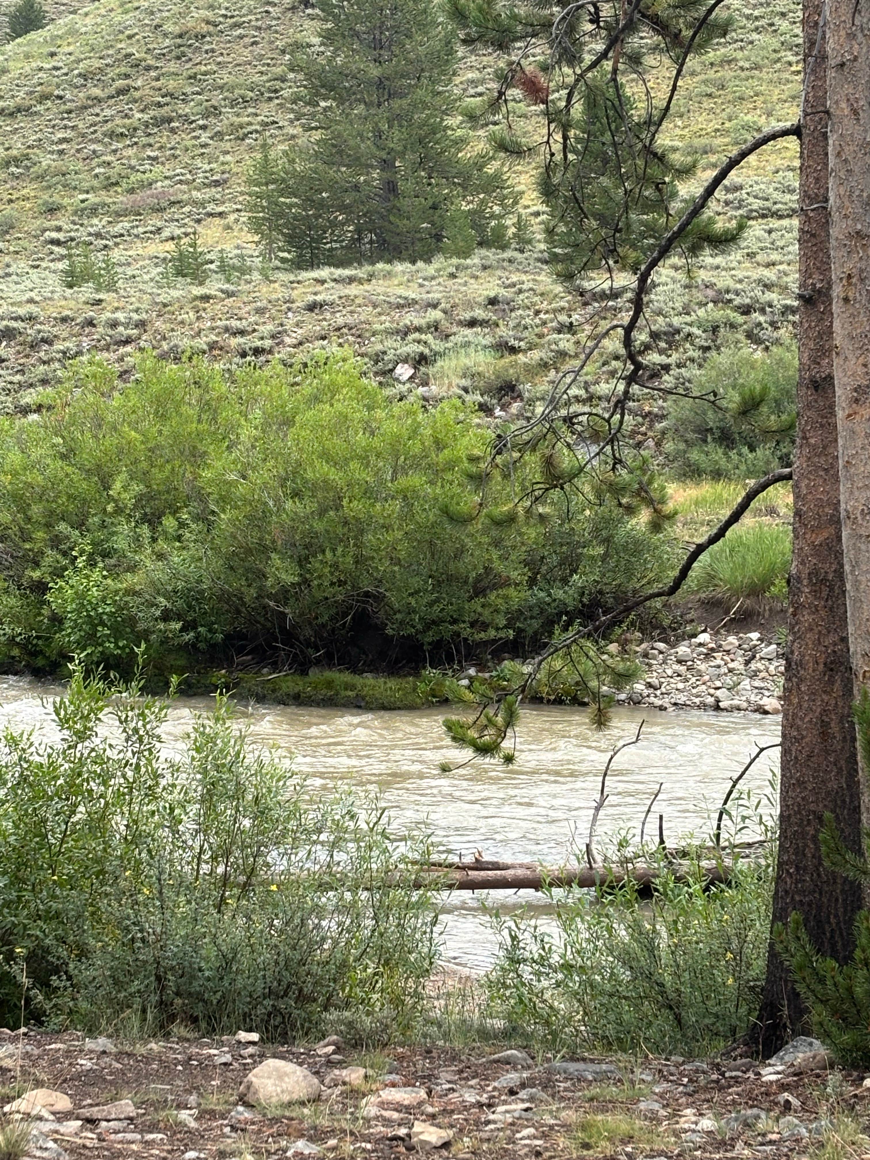 Camper-submitted photo at pioneer woman camp near Sun Valley, ID