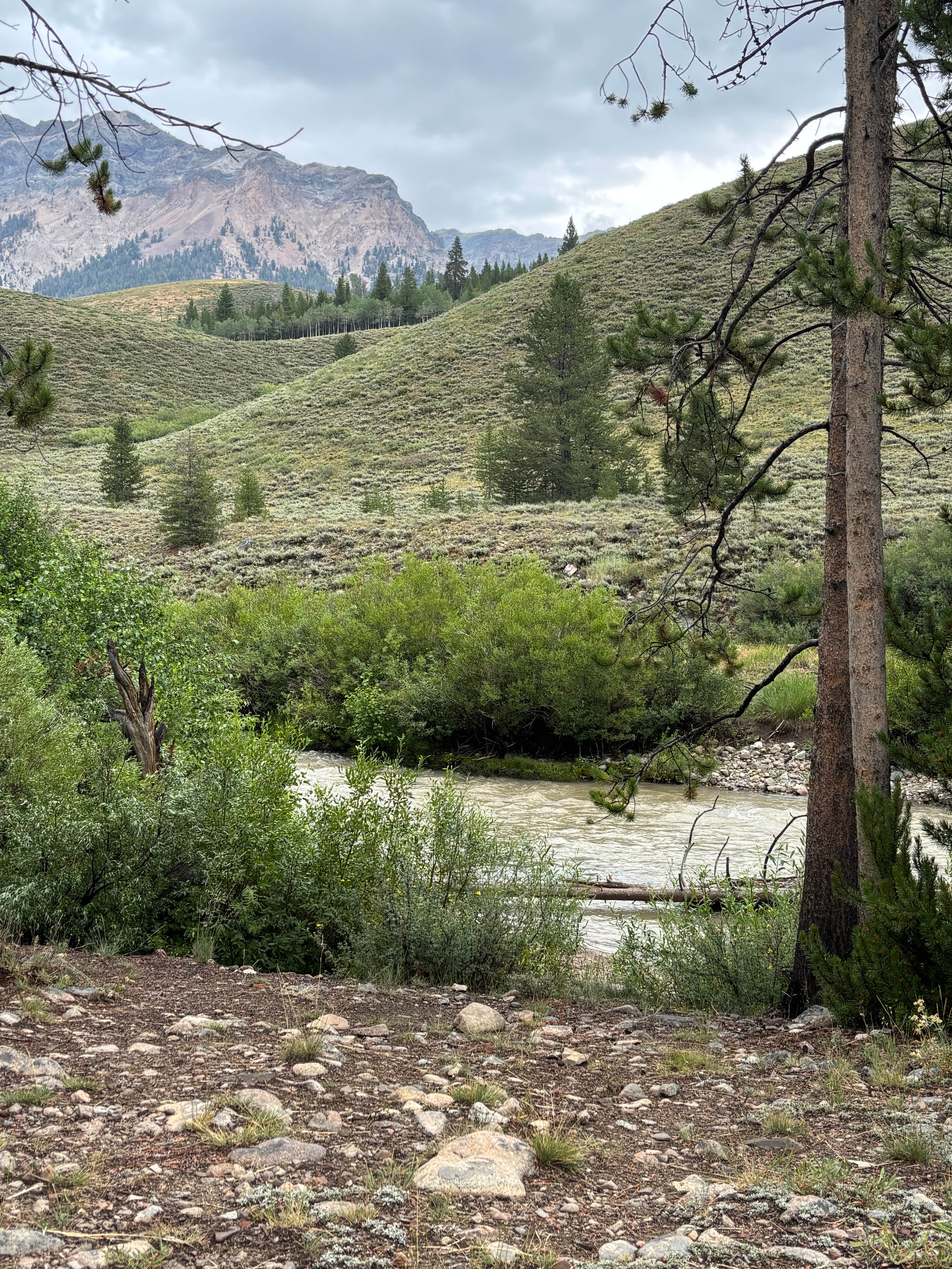 Camper-submitted photo at pioneer woman camp near Ketchum, ID