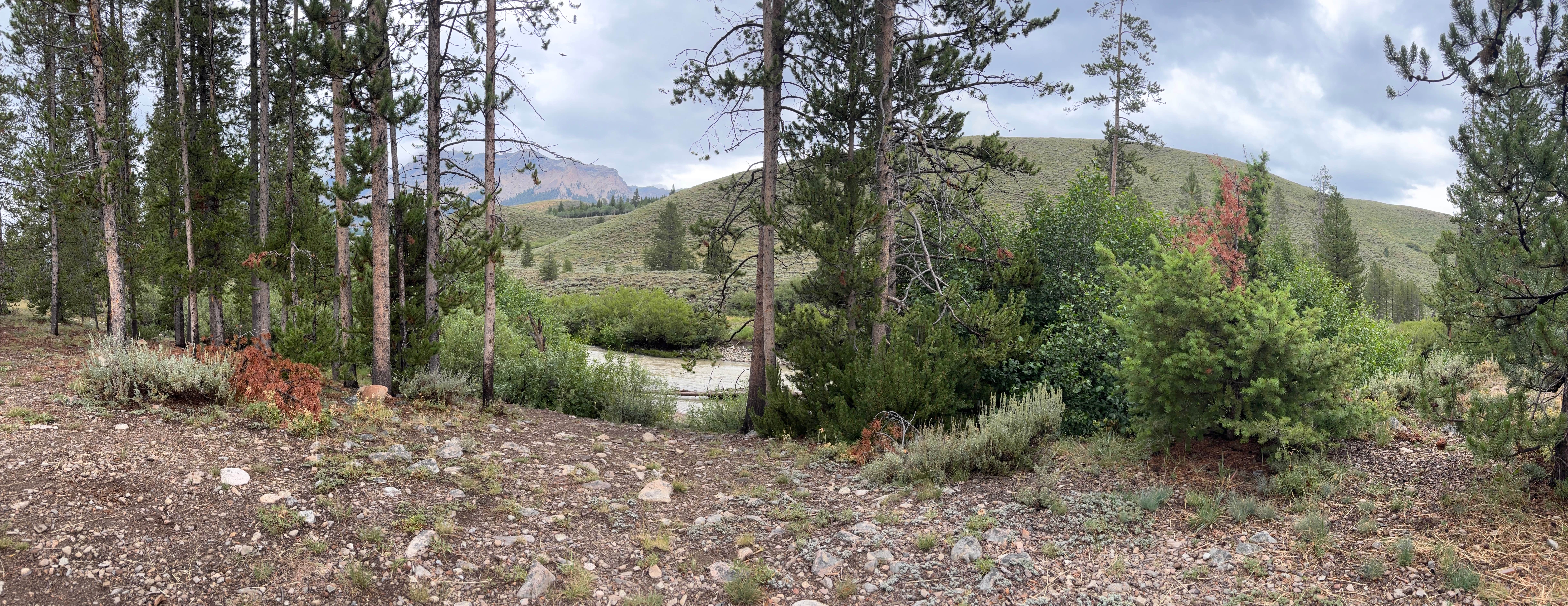 Camper-submitted photo at pioneer woman camp near Ketchum, ID