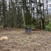 Review photo of pioneer woman camp by Jack H., July 25, 2026