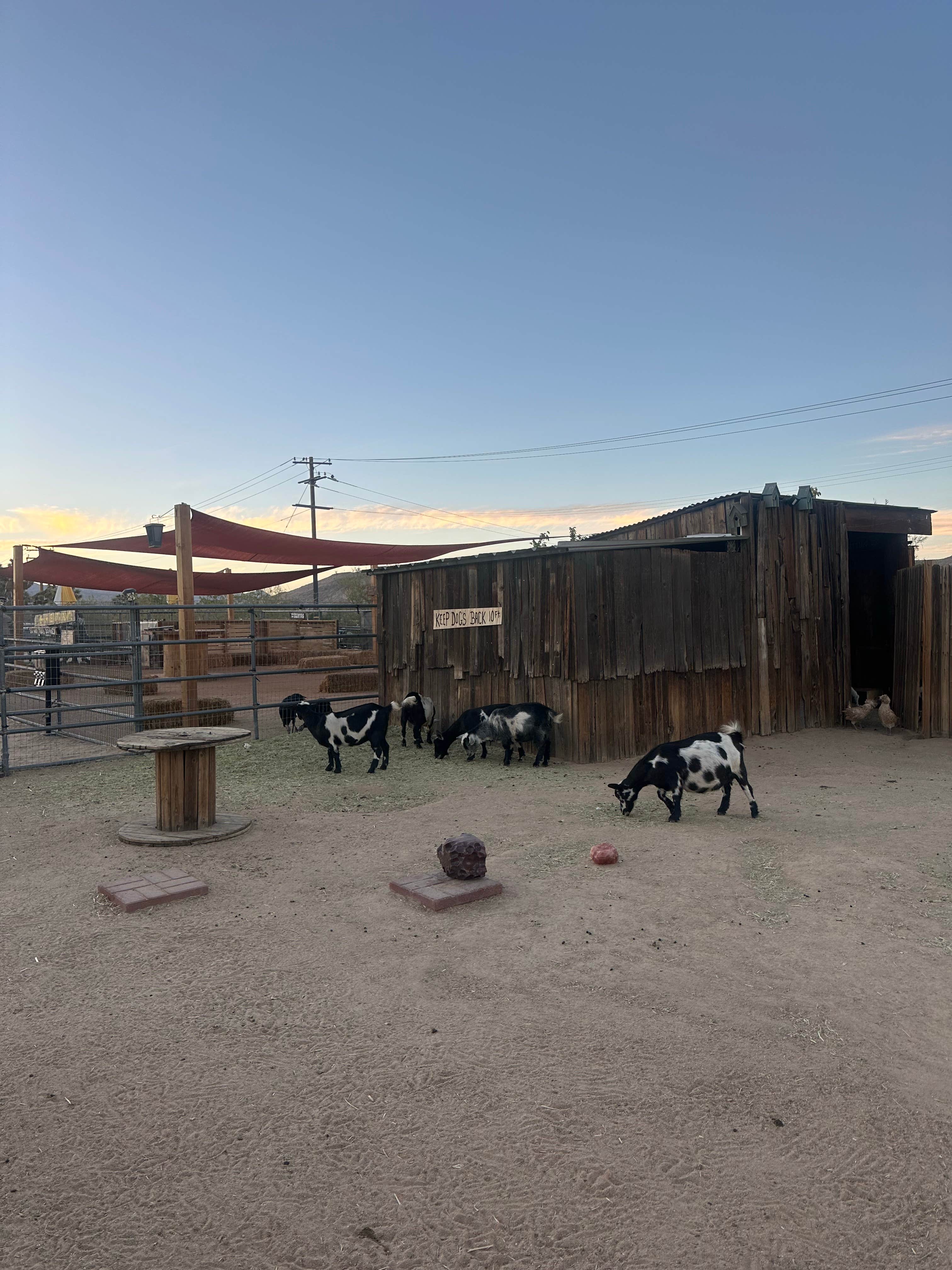 Camper-submitted photo at Pioneertown Corrals near Pioneertown, CA