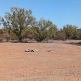 Review photo of Pipeline Road BLM Camping by Greg L., November 29, 2023