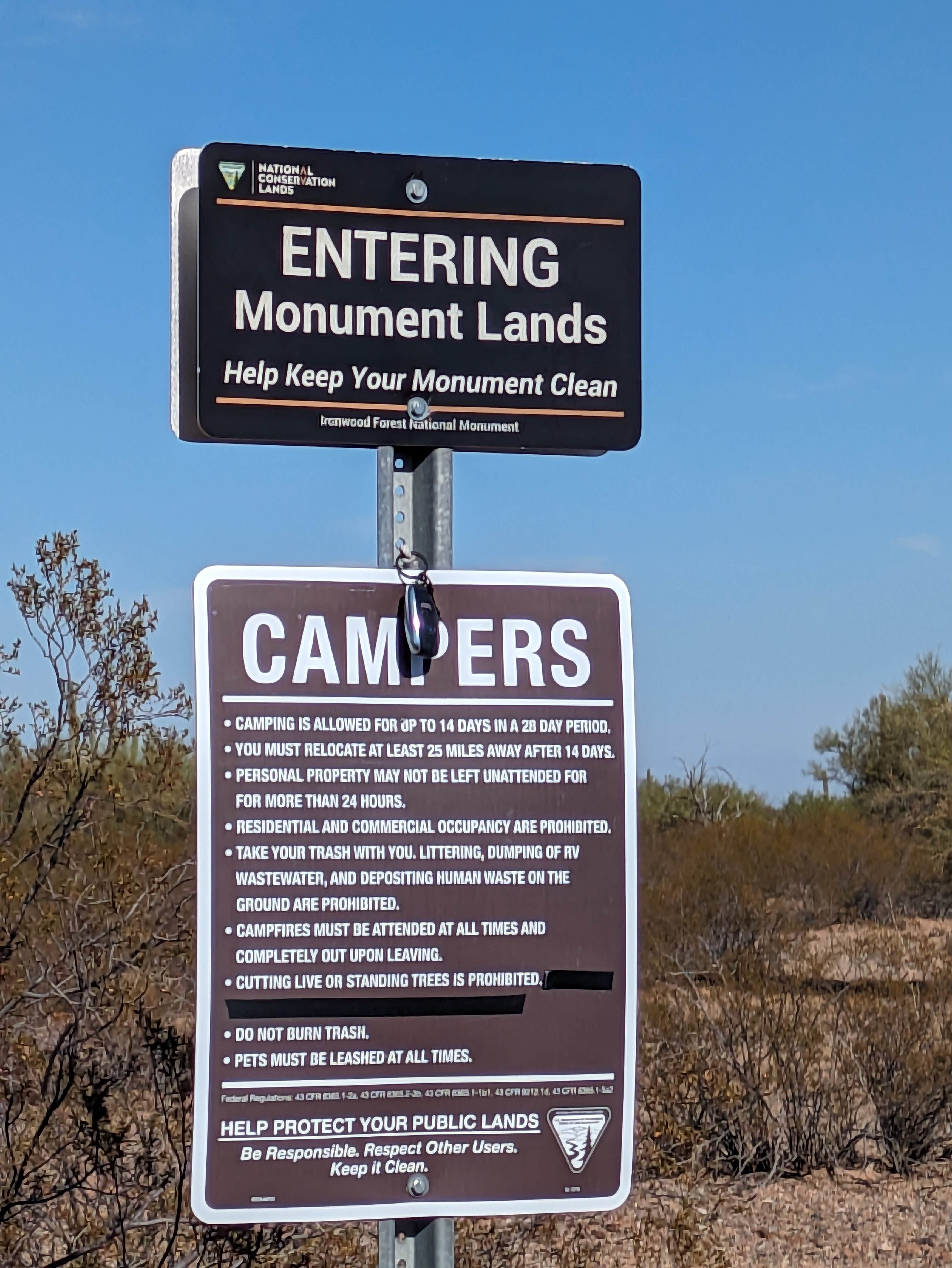 Camper-submitted photo at Pipeline Road BLM Camping near Oro Valley, AZ