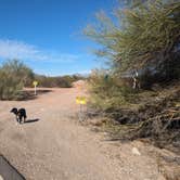 Review photo of Pipeline Road BLM Camping by Greg L., November 29, 2023