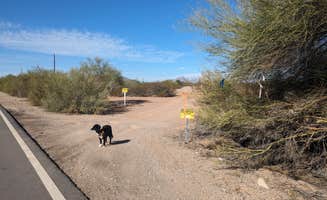 Greg L.'s photo of camping with pets at Pipeline Road BLM Camping near Cortaro, AZ