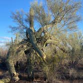 Review photo of Pipeline Road BLM Camping by Mary Ann H., April 2, 2026