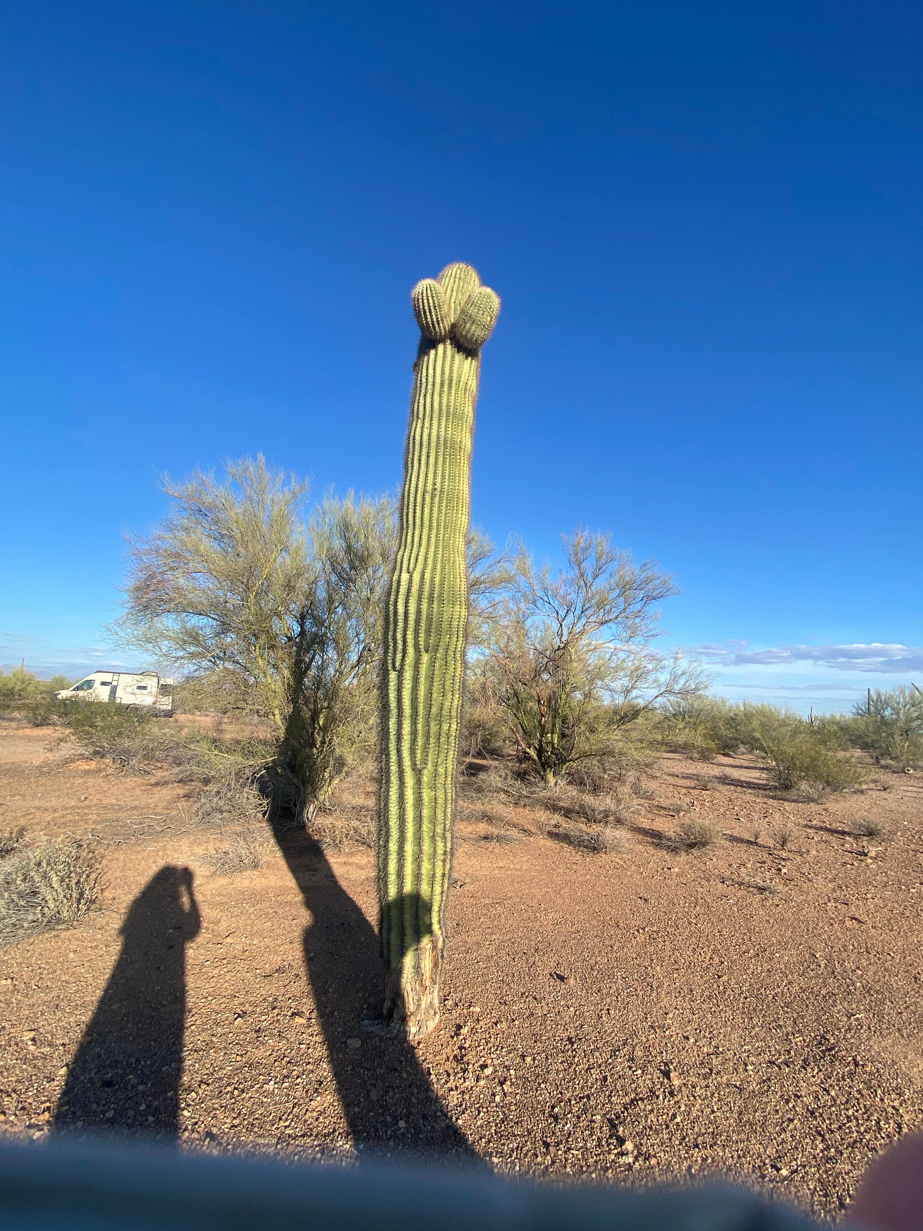 Pipeline Road BLM Camping