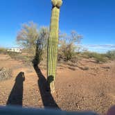 Review photo of Pipeline Road BLM Camping by Mary Ann H., April 2, 2026
