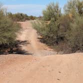 Review photo of Pipeline Road BLM Camping by Greg L., November 29, 2023