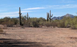 Camping near Cactus Forest Dispersed Site: Pipeline Road BLM Camping, Marana, Arizona