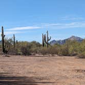 Review photo of Pipeline Road BLM Camping by Greg L., November 29, 2023