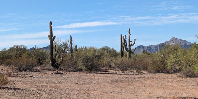 Camper submitted image from Pipeline Road BLM Camping