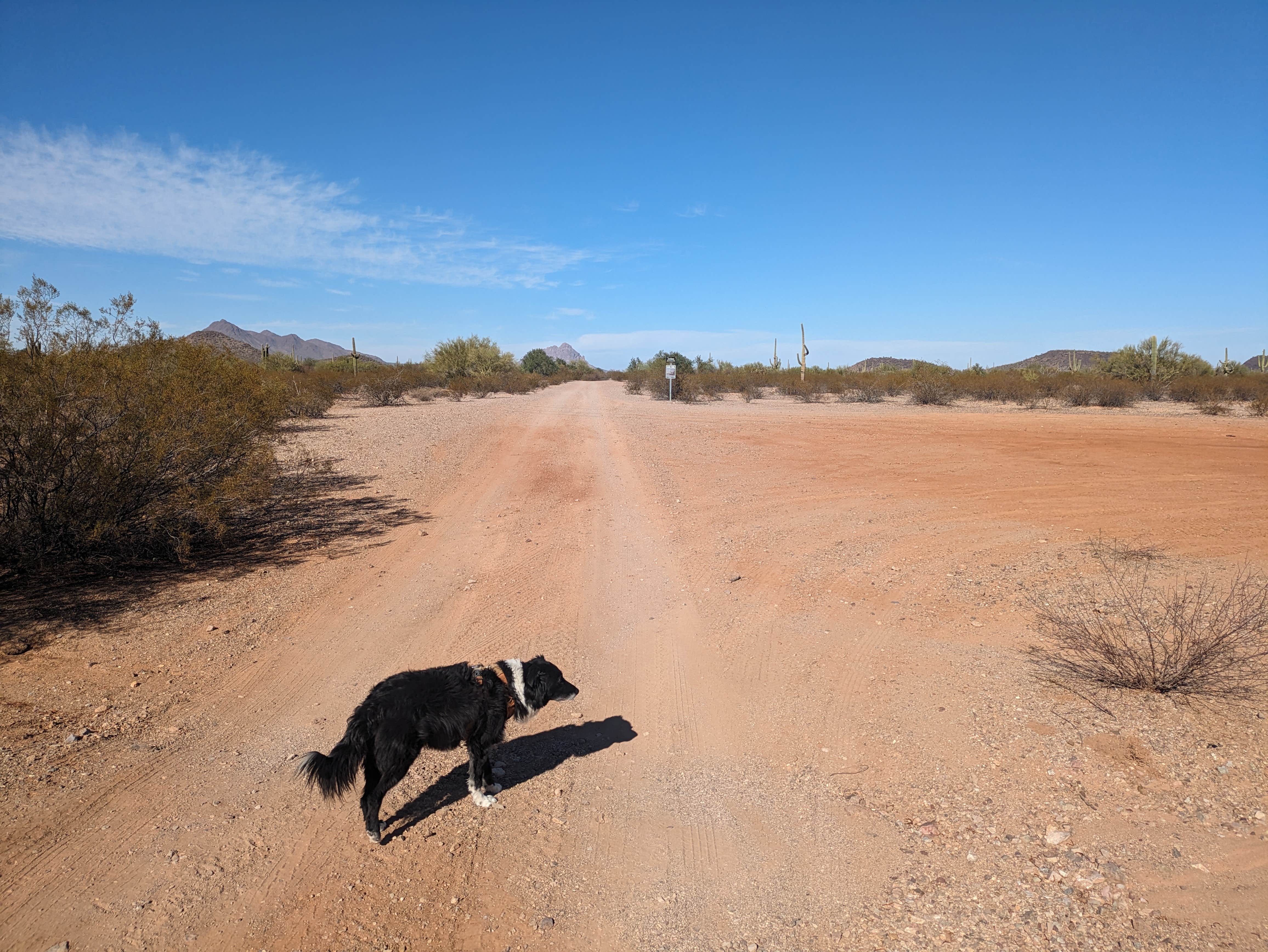 Camper-submitted photo at Pipeline Road BLM Camping near Oro Valley, AZ