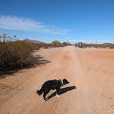 Review photo of Pipeline Road BLM Camping by Greg L., November 29, 2023